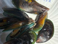 -蓝湾碧波·老字号·疍家非遗海上餐厅