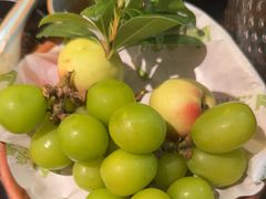 -季季山·云南野生菌火锅(上海首店)