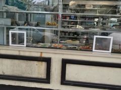 -乔家栅(襄阳南路店)