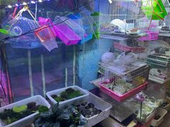-双季花艺园艺市场(浦东店)