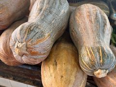 -南坛综合农贸市场