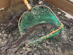 -上名堂·鱼头好吃(体育场路店)