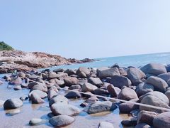 -广东惠东海龟国家级自然保护区