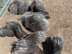 -水上乐园·欢乐世界