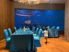 -海棠湾洲际-涛·海底餐厅·美人鱼·自助餐·海底隧道