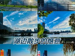 -天鹅湖体育公园