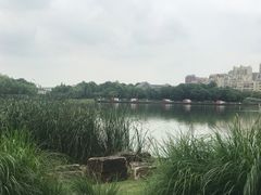 -南翔镇银翔湖公园