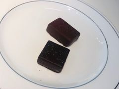 -BLACKSWAN黑天鹅(环球店)