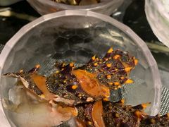 -半岛翡丽海鲜自助餐厅(观风亭店)
