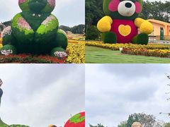 -海上田园