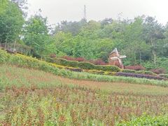 -阿哈湖国家湿地公园