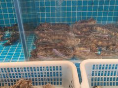 -老渔翁海肠捞饭(幸福九村店)