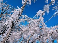 -中旅松花湖滑雪场