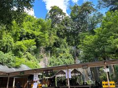 -西双版纳原始森林公园