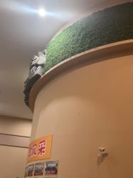 -疯狂的麦咭(长沙店)