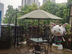 -柴犬高等学院·狗咖·柴犬售卖·宠物训练