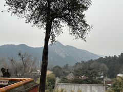-潭柘寺景区