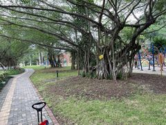 -南宁花花大世界景区