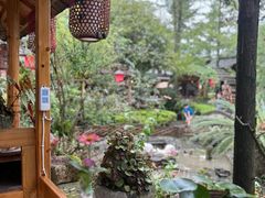 -青城甲(青城山店)