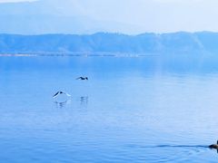 -西昌邛海湾柏樾酒店(原邛海湾柏栎度假酒店)