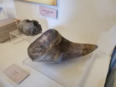 -北京动物园-畅观楼