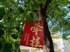 -俄罗斯风情街