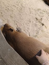 -Zoolung Zoolung动物主题公园(海信广场店)