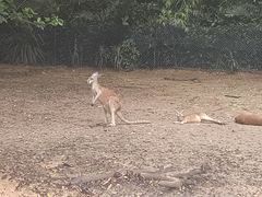 -广州长隆野生动物世界