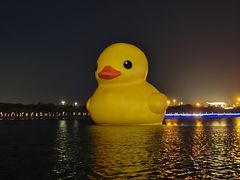 -深圳人才公园