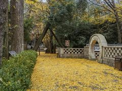 -青岛崂山太清宫