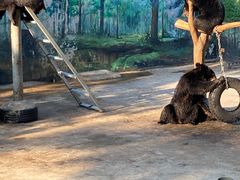 -西安秦岭野生动物园