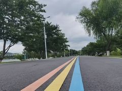 -羊山湖公园