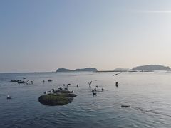 -燕窝岭