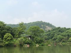 -镇江市南山风景名胜区竹林景区