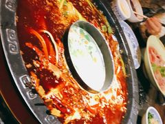 -成渝龙火锅(都江堰店)