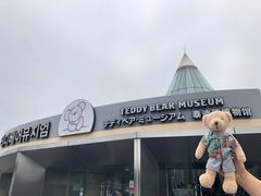 -济州岛泰迪熊博物馆
