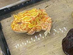 -藦茜花园宠物主题亲子互动体验馆(国顺东路店)