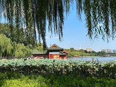 -济南大明湖景区