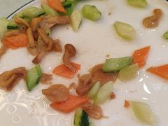 -邵年鸽(杨庄店)