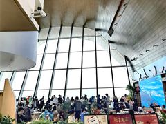 -抱抱地球咖啡馆(国家海洋博物馆店)