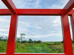 -芒洲湿地公园