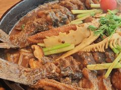 -老板恋上鱼(恒隆广场店)