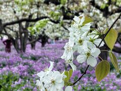 -江苏三台山国家森林公园