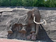-哈尔滨北方森林动物园