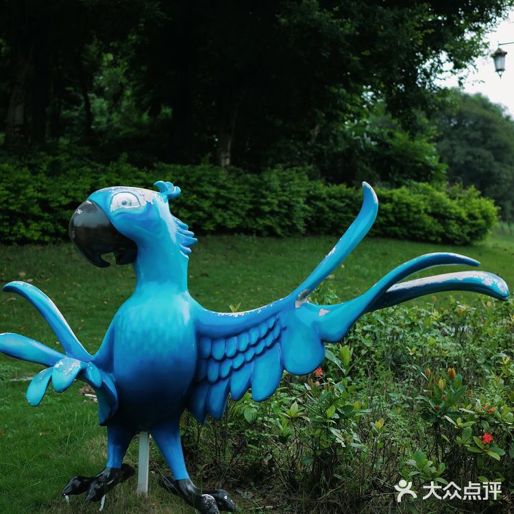 马峦北路.深圳又一条小众的日系片公路！