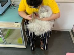-十年猫舍·猫咪专门店(普陀店)