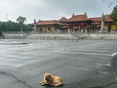 -三水森林公园