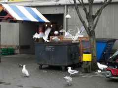 -固兰湖岛
