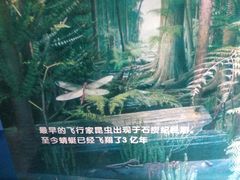 -上海昆虫博物馆