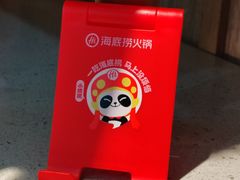 -海底捞火锅(步步高新天地店)